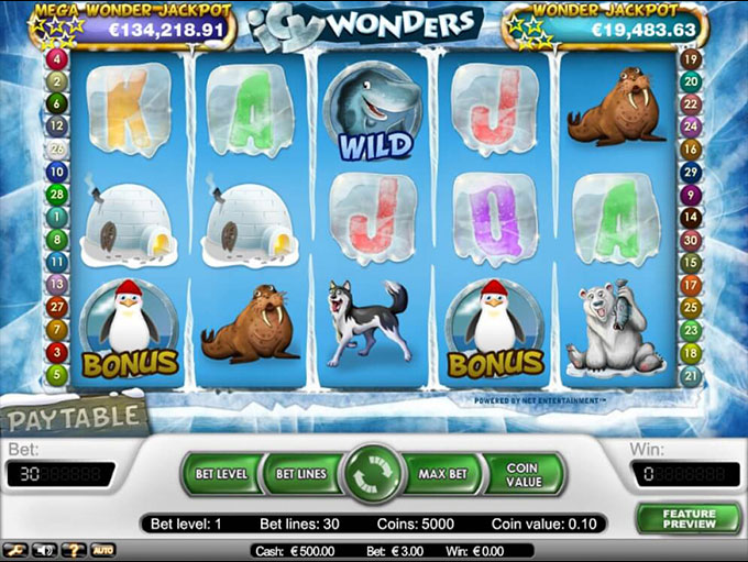 Icy Wonders by NetEntertainment