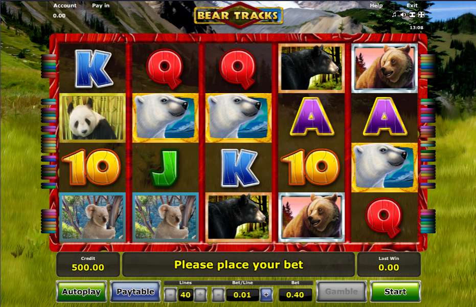 Bear tracks novomatic casino slots definition attendant connection