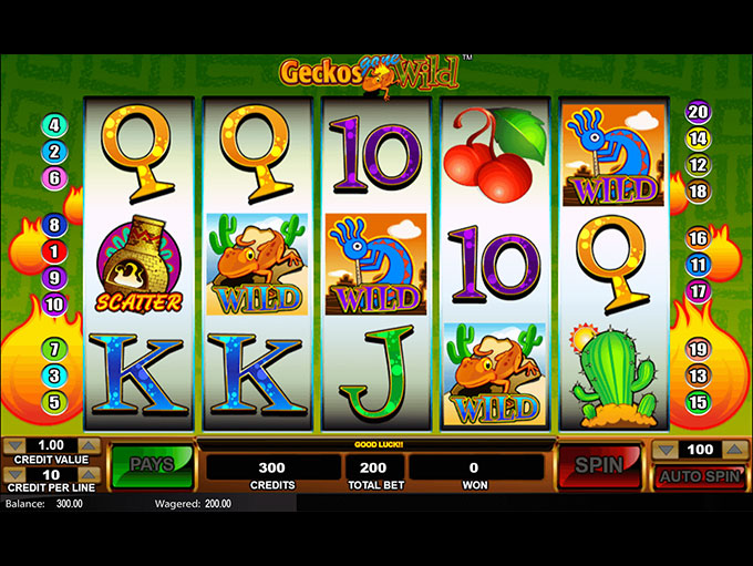 Geckos Gone Wild by Cadillac Jack