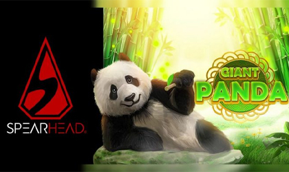 Spearhead Studios Releases Giant Panda and Blackjack