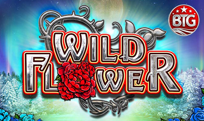 Big Time Gaming Releases Online Slot Wild Flower