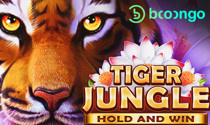 Booongo Delivers Jungle Adventure with Tiger Jungle Hold and Win