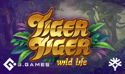 Yggdrasil and Gluck Games Released Tiger Tiger Wild Life Slot