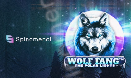 Join the Wolf Pack and Explore the Northern Landscape with Wolf Fang the Polar Lights