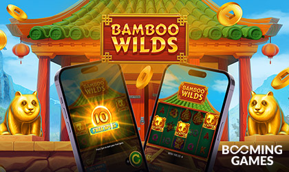 Journey into the Majestic World of Pandas with Bamboo Wilds