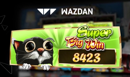 Colin the Cat is a Mischievous Kitten That Can Award Big Cash