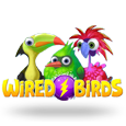 Wired Birds by Daub