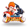 Nine-Tailed Ninja by Gameplay Interactive