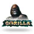 Gorilla by Novomatic