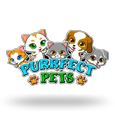 Purrfect Pets