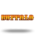 Buffalo by Aristocrat