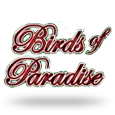 Birds of Paradise