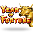 Year Of Fortune by Real Time Gaming