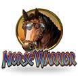 Norse Warrior  by WMS