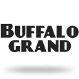 Buffalo Grand by Aristocrat