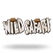 Go Wild On Safari