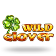 Wild Clover