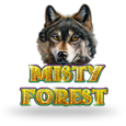 Misty Forest