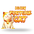 Lucky Fortune Cat