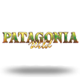 Patagonia Wild