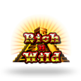 Rich N Wild