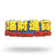Fortune Cats