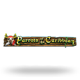Parrots Of The Caribbean