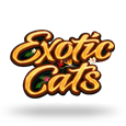 Exotic Cats