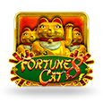Fortune 8 Cat by lightningboxgames