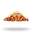 Wild Burning Wins: 5 lines