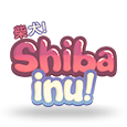 Shiba Inu