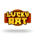 Lucky Rat