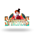 Spin Circus