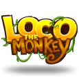 Loco The Monkey