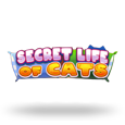 Secret Life Of Cats