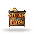 Catch Of The Day