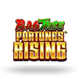Bao Tree: Fortunes Rising