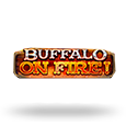 Buffalo on Fire! by Red Rake Gaming