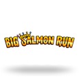 Big Salmon Run