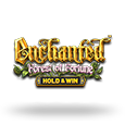 Enchanted Forest of Fortune