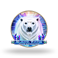 Majestic Winter - Polar Adventures