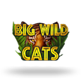Big Wild Cats