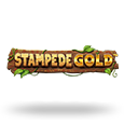 Stampede Gold
