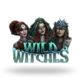 Wild Witches