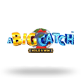 Big Catch Hold and Win