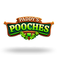 Paddys Pooches