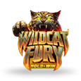 Wildcat Fury by Rival