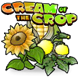 Cream of the Crop