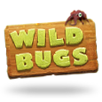 Wild Bugs by Cayetano