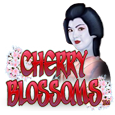 Cherry Blossoms
